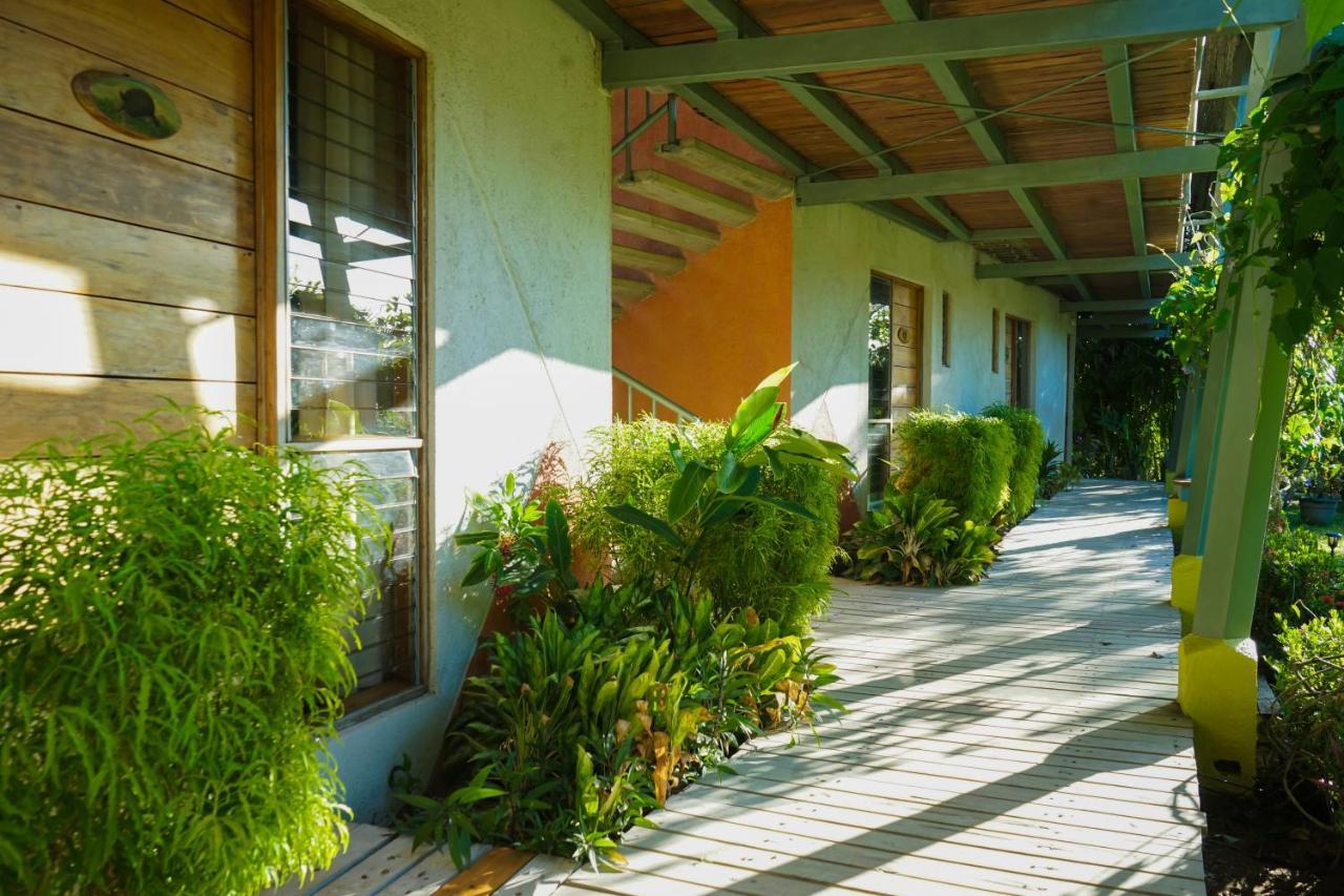 Hotel Sol Sámara Dış mekan fotoğraf